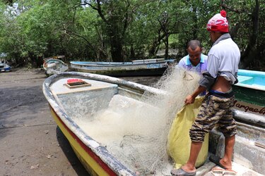 Regularán el uso del palangre en la pesca artesanal para evitar que las ballenas queden atrapadas