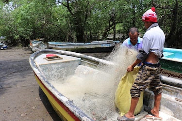 Regularán el uso del palangre en la pesca artesanal para evitar que las ballenas queden atrapadas