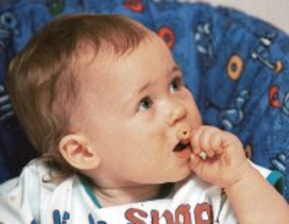 Empiezan las comidas sólidas