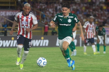 Hincha muere tras disturbios en Junior vs. Palmeiras