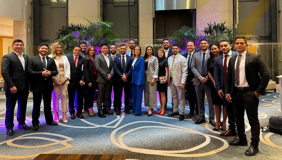 Ocho diputados independientes estarían impugnados