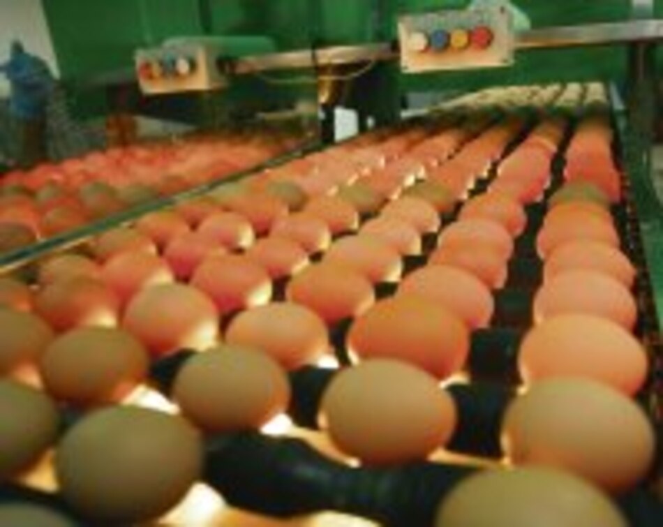 Toledano moderniza sus plantas