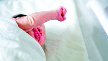 El virus del zika engaña a pacientes