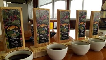 El circuito del café ya es un hecho en Chiriquí