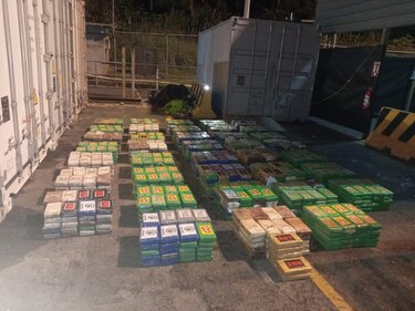 Decomisan más de 1,500 paquetes de presunta droga en contenedor con destino a Senegal