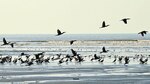 Evaluación ambiental y el cambio climático