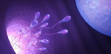 Congelación de los ovocitos para aplazar la maternidad