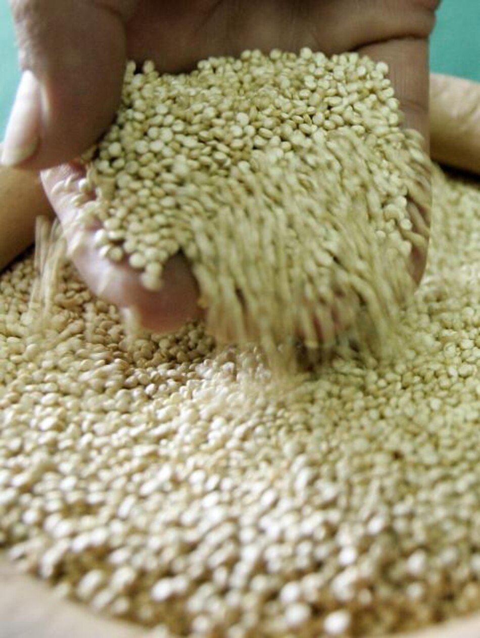 Bolivia expande mercado de quinua a China