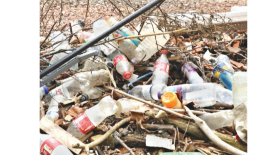 El 13% de los decesos en la Unión Europea está ligado a la contaminación