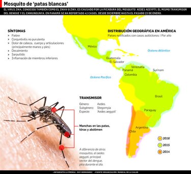 La OMS declara el zika una emergencia internacional