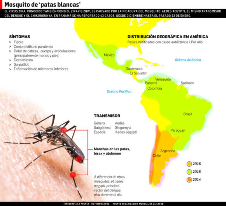 La OMS declara el zika una emergencia internacional