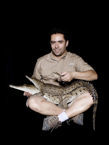 Cómo Juancho, un caimán del Orinoco, juega desde Dallas un papel clave para impedir la extinción de su especie