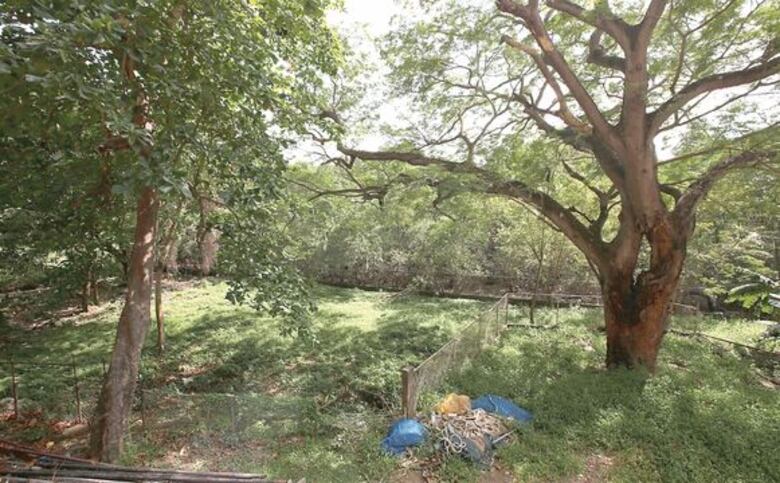 Anati rechaza solicitud de concesión a Grupo Suárez en San Francisco