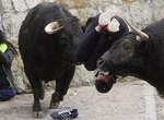 El Carnaval inunda España con el humor, el ingenio y la ironía