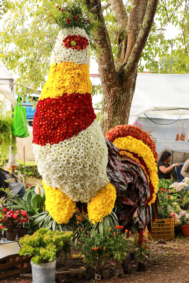 Un viaje por el color y el aroma de las flores que adornan las calles de Volcán