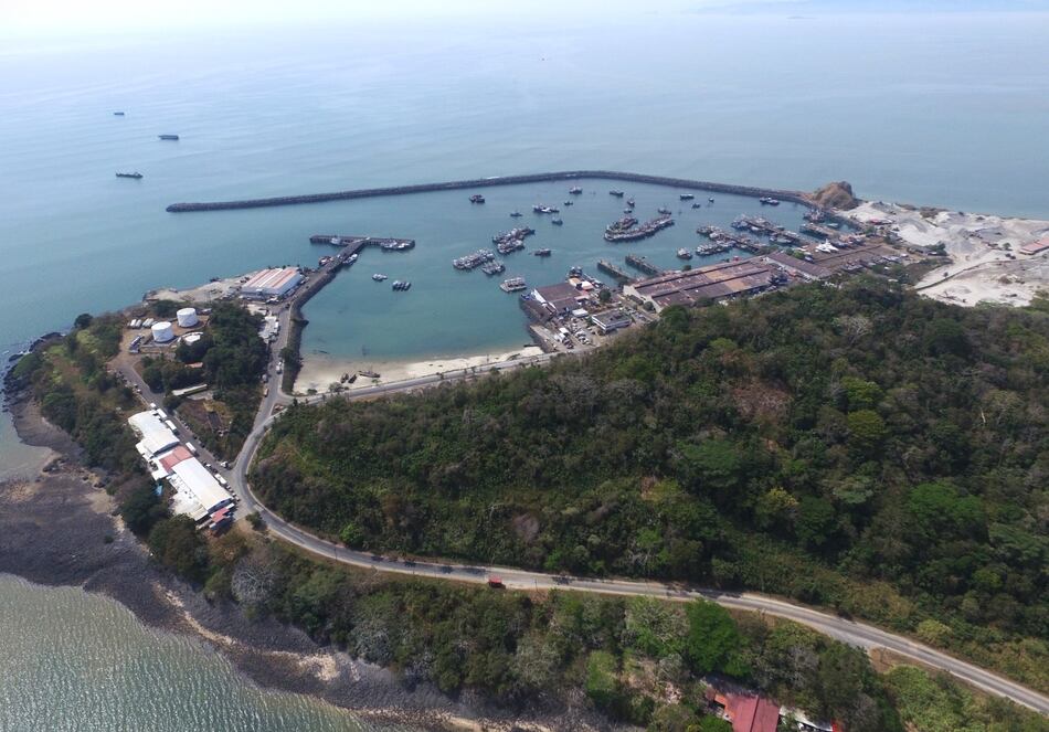 La AMP explora modelos financieros y de concesión para astillero de Vacamonte