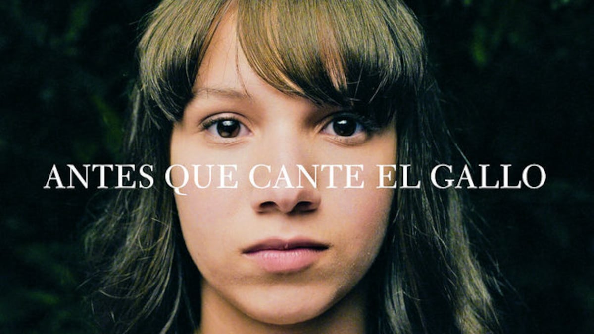‘Antes que cante el gallo’ es la segunda película del director boricua Ari Maniel Cruz. CORTESÍA