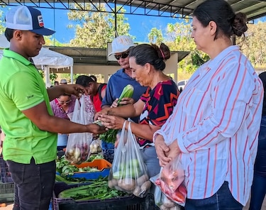 Ferias y tiendas del IMA estarán cerradas por Semana Santa