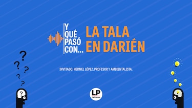 Y qué pasó con: La tala en Darién