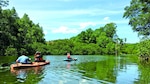 Un lugar para admirar la naturaleza