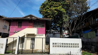 Las contradicciones de la Alcaldía de Panamá frente a la tala de árboles en Marbella