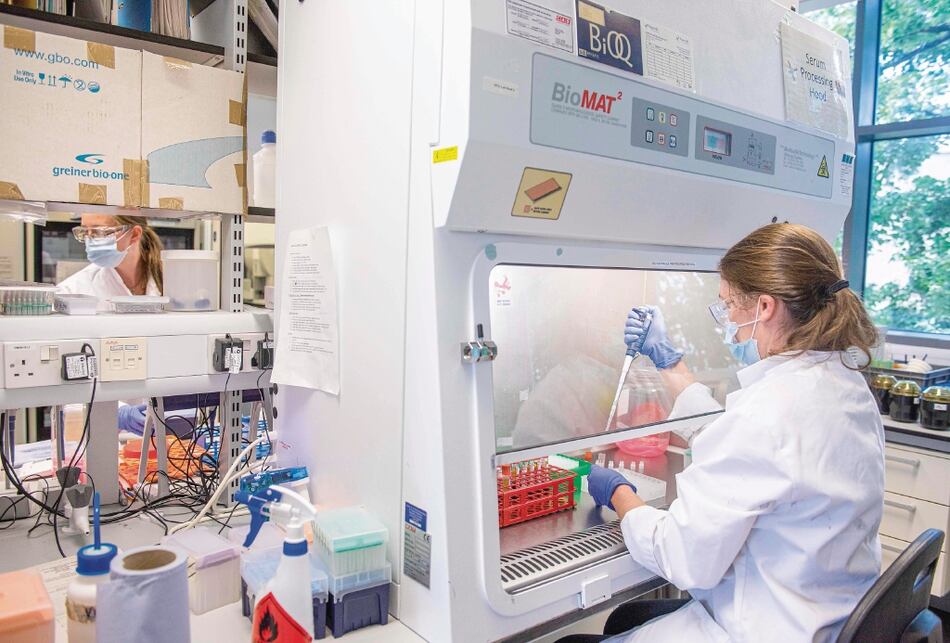 Se asoma la meta en carrera por la vacuna