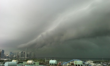 Varios árboles caídos por fuerte lluvia en Panamá
