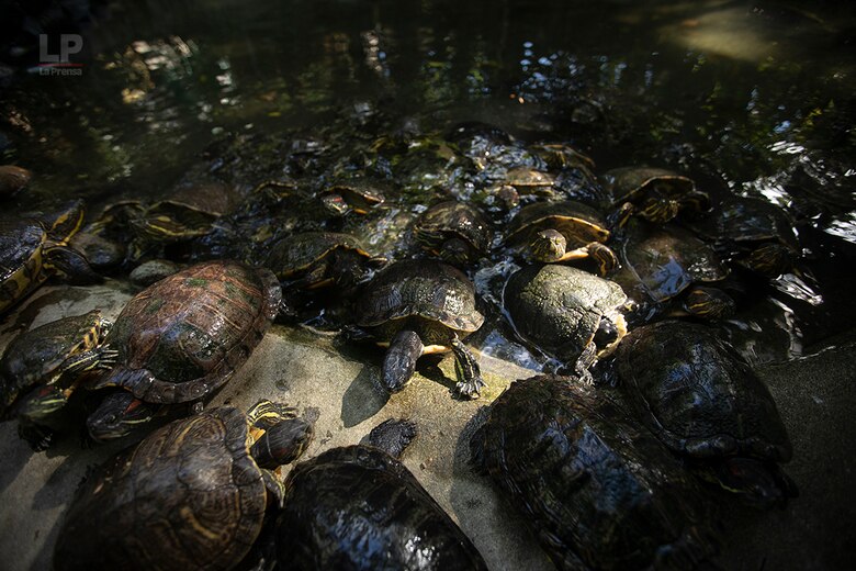 El Valle de Antón y su vocación turística