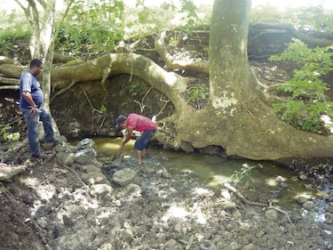 Idaan, ACP y Smithsonian abordarán la crisis del agua en Panamá
