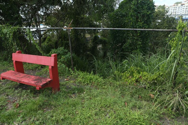 La crisis oculta de las escuelas públicas: estructuras en ruinas y estudiantes en riesgo