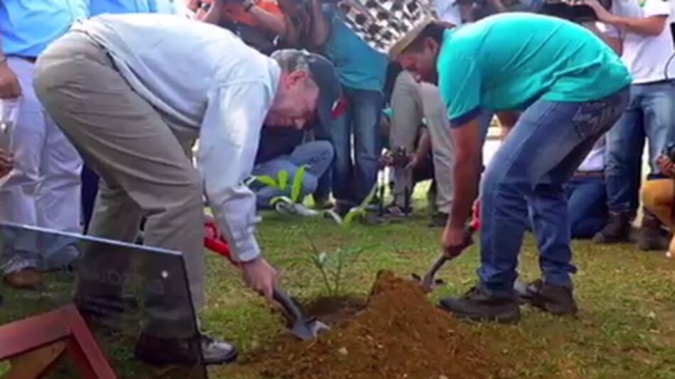 Colombia sembrará un árbol por cada víctima del conflicto armado