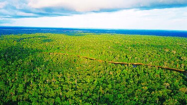Perú, sede para estudiar la biosfera