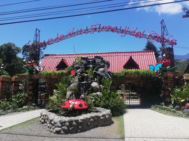 Suspenden Expo Orquídea 2020 en Boquete por el coronavirus