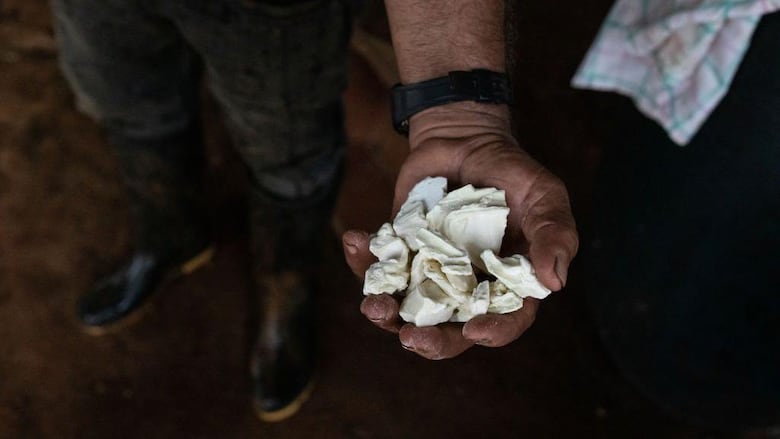 Las duras críticas al gobierno de Petro por la muerte de al menos 15 menores en bombardeos de fuerzas militares en Colombia