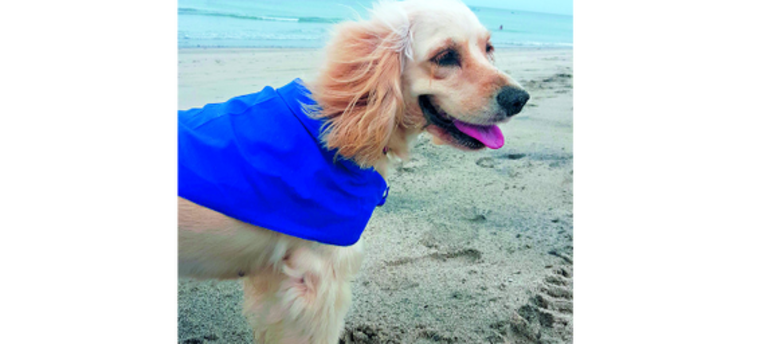 Orión, el futbolista