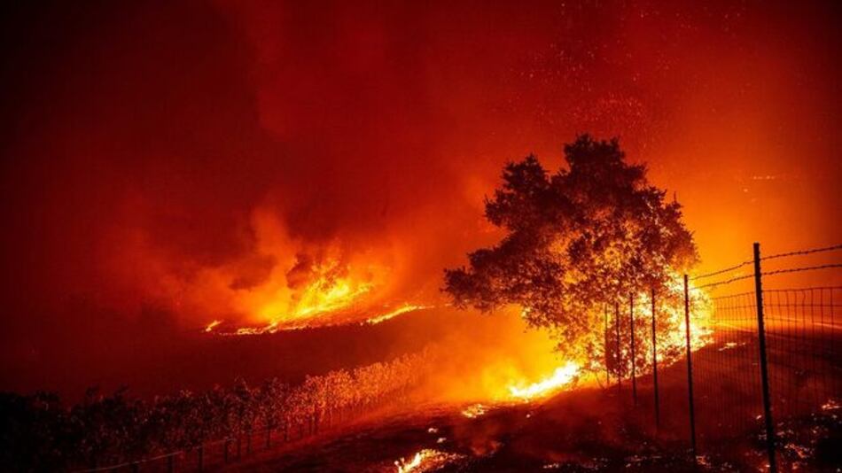 Incendio forestal avanza con fuerza en región vinícola de California