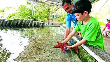 Maravillas del trópico