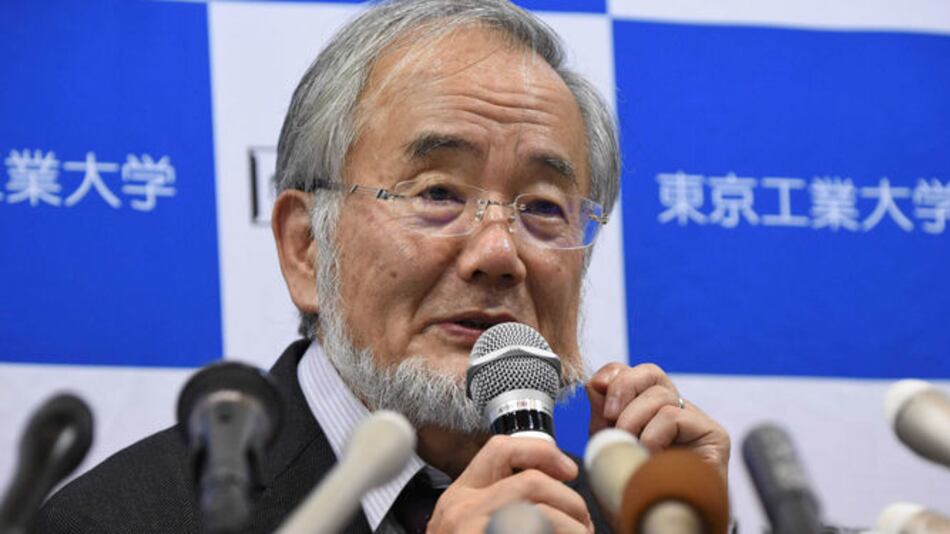 El japonés Yoshinori Ohsumi gana el Nobel de Medicina
