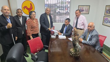 Facción del Molirena presenta recurso para tumbar reformas al estatuto