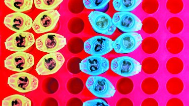 La búsqueda de nuevos medicamentos