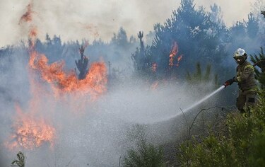 Chile: más de 40 detenidos por incendios forestales que empiezan a ceder
