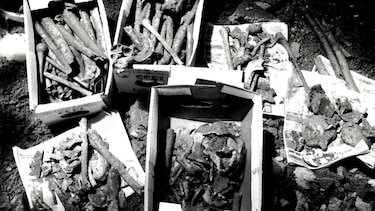 ‘Encontré un cementerio con los restos de 40,000 personas esclavizadas bajo mi casa durante una reforma’