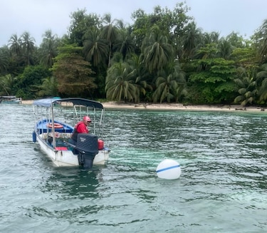 Inicia colocación de boyas para proteger ecosistemas marinos en Isla Bastimentos