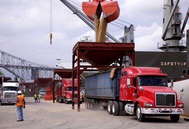 Extienden licencias a los importadores de alimentos y a los pescadores para garantizar productos en época de coronavirus