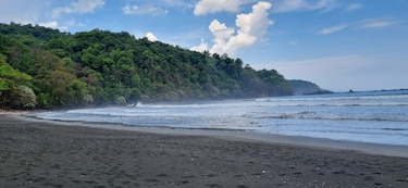 El Cacao: el clamor de un paraíso olvidado 