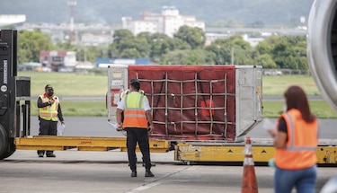 Se aplican 8 mil 2 71 dosis; Pfizer busca licencia total de vacuna