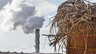 Proyectan contracción del sector azucarero brasileño