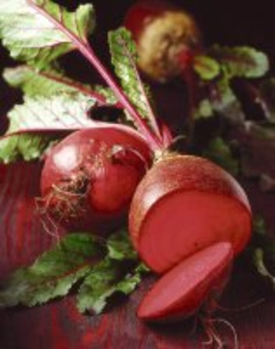 La remolacha desde siempre