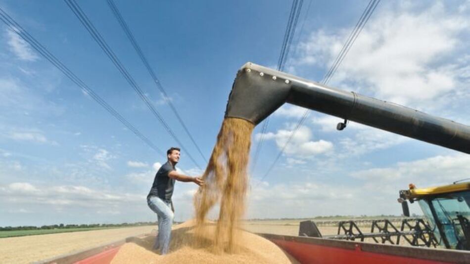 Alimentos alternativos preocupan a industriales