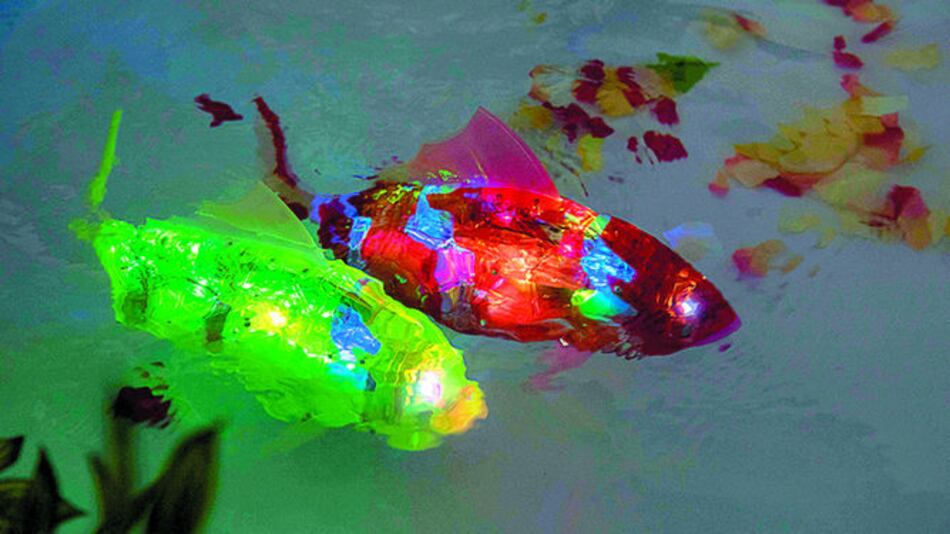 MIRO, un robot marino inteligente